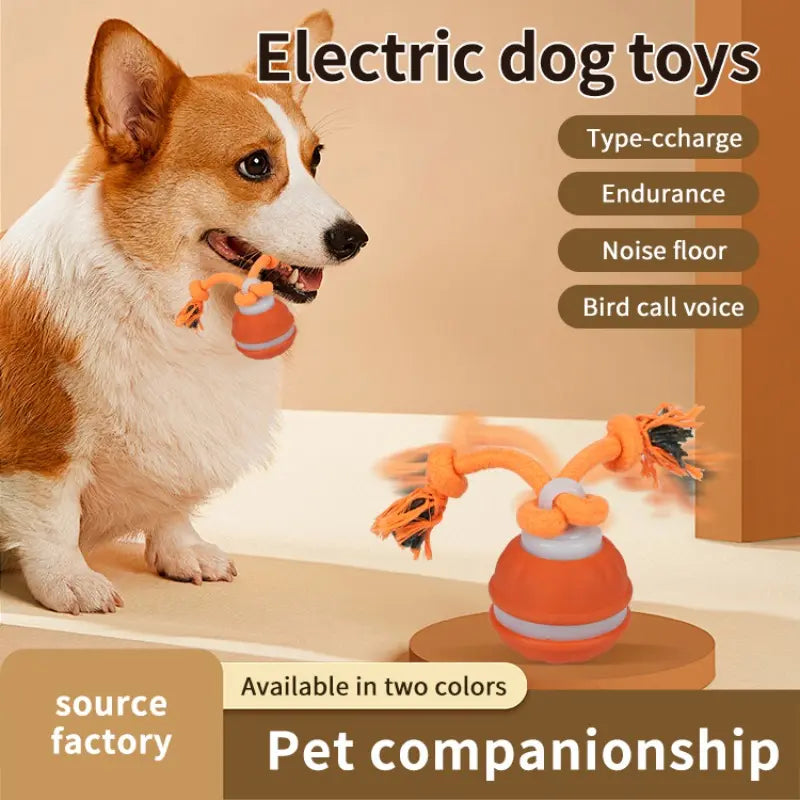 Smart Rolling Ball Toy for Dogs - Indoor Training Device for Enhanced Pet Stimulation with Durable, Bite-Resistant Design for Boredom Relief