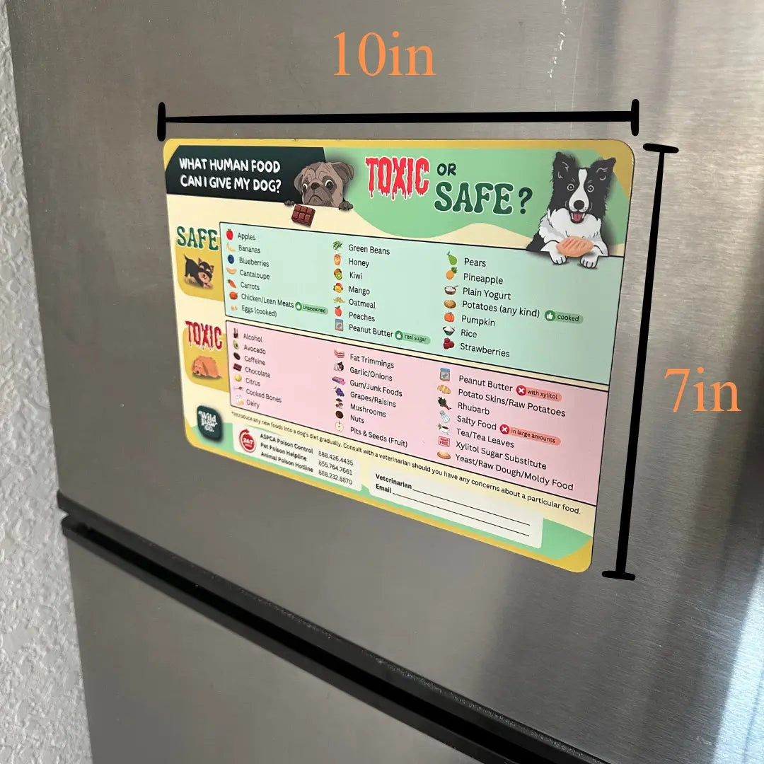 Pet Owner's Reference: Is This Safe for My Cat? Refrigerator Magnet