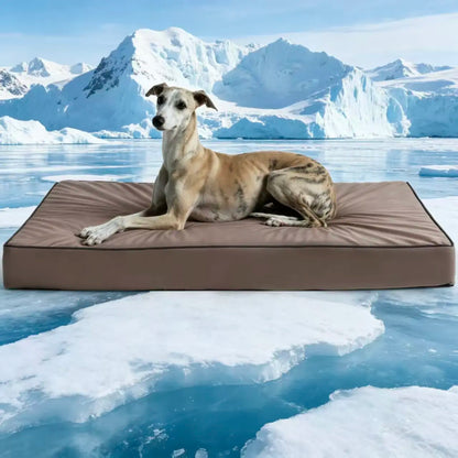 Blunique 2-in-1 Cooling Orthopedic Pet Bed for Dogs and Cats, Waterproof Egg Crate Foam with Q-Max 4.0 Temperature Regulating Fabric, Washable and Dryer Safe Design for All Seasons