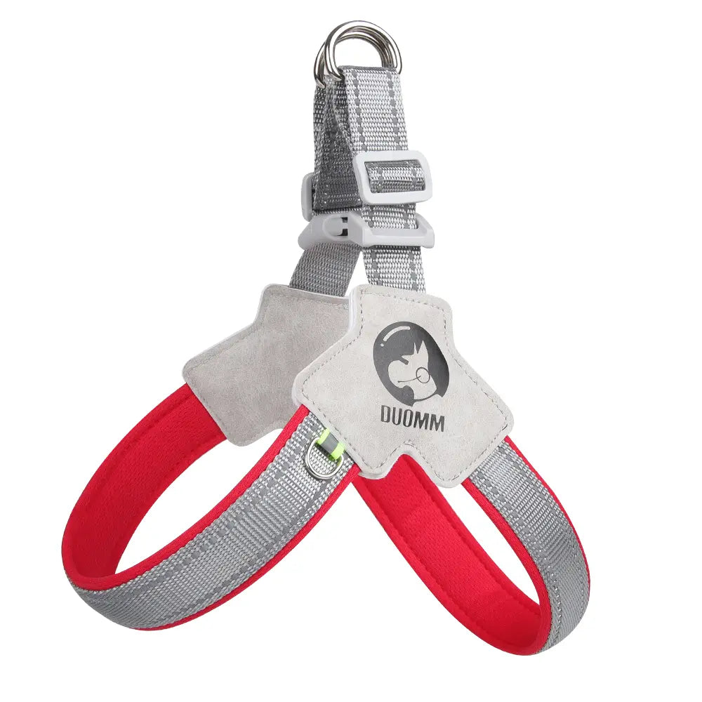 Dog Harness Leash for Small and Medium-Sized Dogs Such as Corgis, Shiba Inus, and French Bulldogs; Collar/Vest Style Dog Walker Leash/Pet Collar