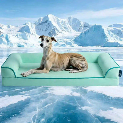 Blunique 2-in-1 Cooling Orthopedic Pet Bed for Dogs and Cats, Waterproof Egg Crate Foam with Q-Max 4.0 Temperature Regulating Fabric, Washable and Dryer Safe Design for All Seasons
