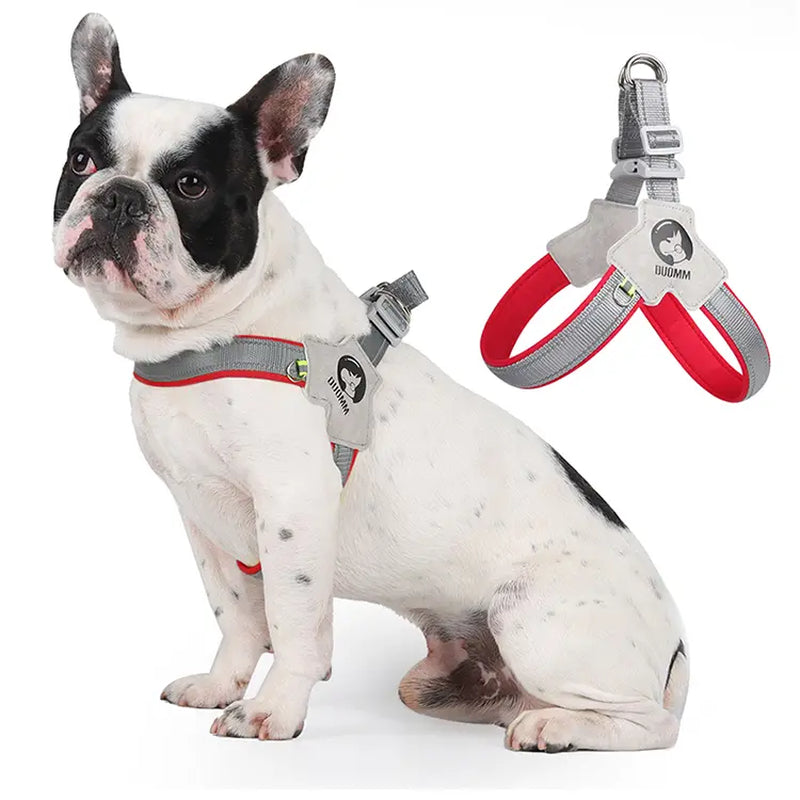 Dog Harness Leash for Small and Medium-Sized Dogs Such as Corgis, Shiba Inus, and French Bulldogs; Collar/Vest Style Dog Walker Leash/Pet Collar