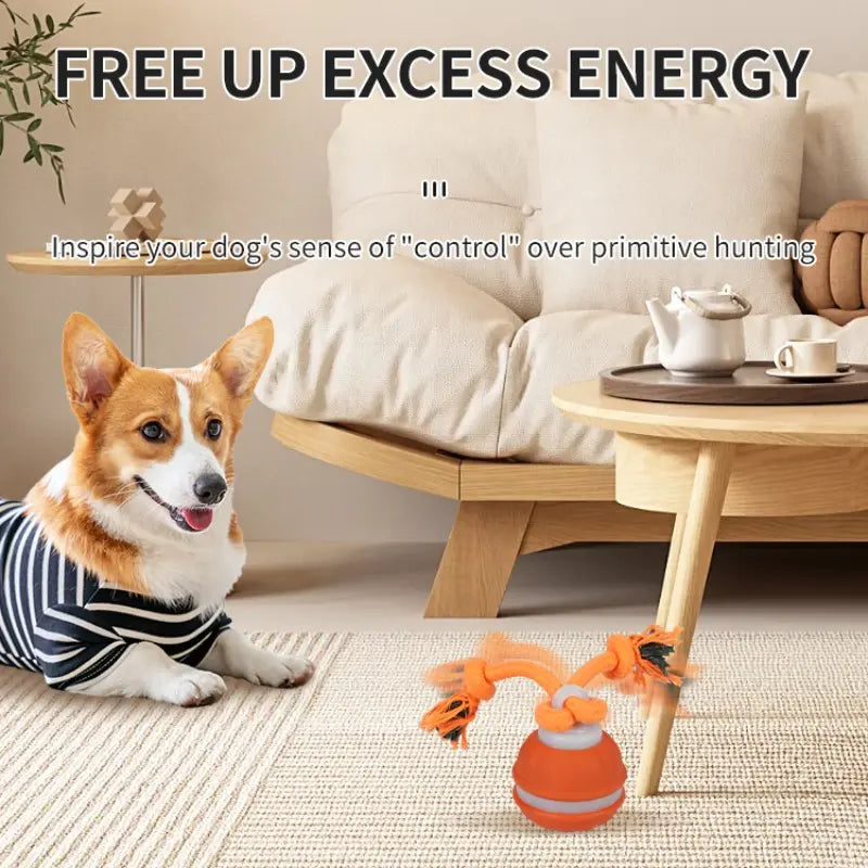 Smart Rolling Ball Toy for Dogs - Indoor Training Device for Enhanced Pet Stimulation with Durable, Bite-Resistant Design for Boredom Relief