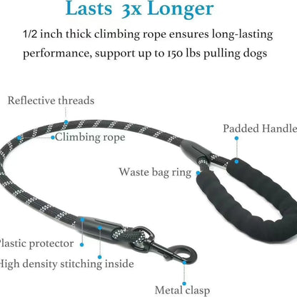 Premium Double Dog Leash with Tangle-Free Technology and Shock Absorption for Walking Two Dogs
