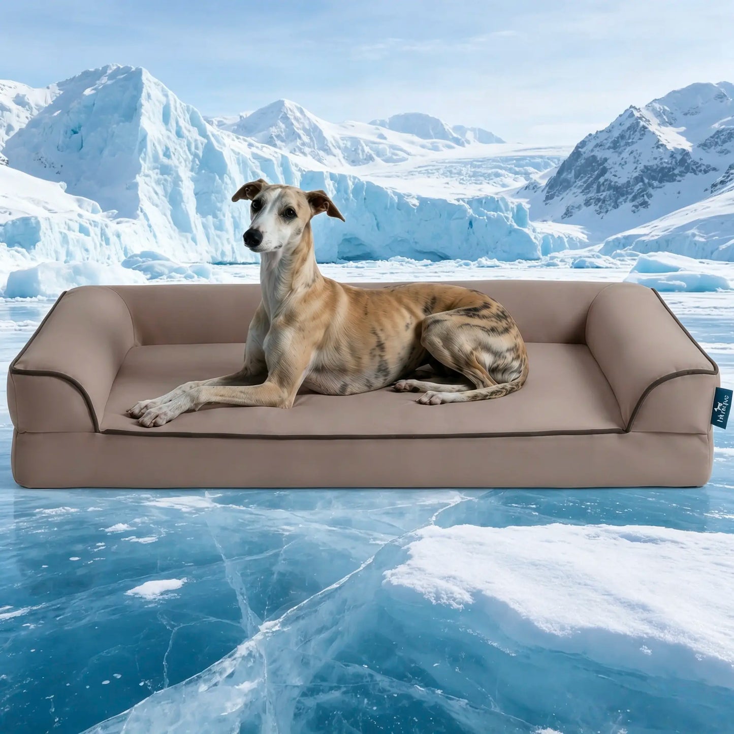 Blunique 2-in-1 Cooling Orthopedic Pet Bed for Dogs and Cats, Waterproof Egg Crate Foam with Q-Max 4.0 Temperature Regulating Fabric, Washable and Dryer Safe Design for All Seasons