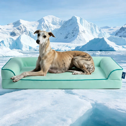 Blunique 2-in-1 Cooling Orthopedic Pet Bed for Dogs and Cats, Waterproof Egg Crate Foam with Q-Max 4.0 Temperature Regulating Fabric, Washable and Dryer Safe Design for All Seasons