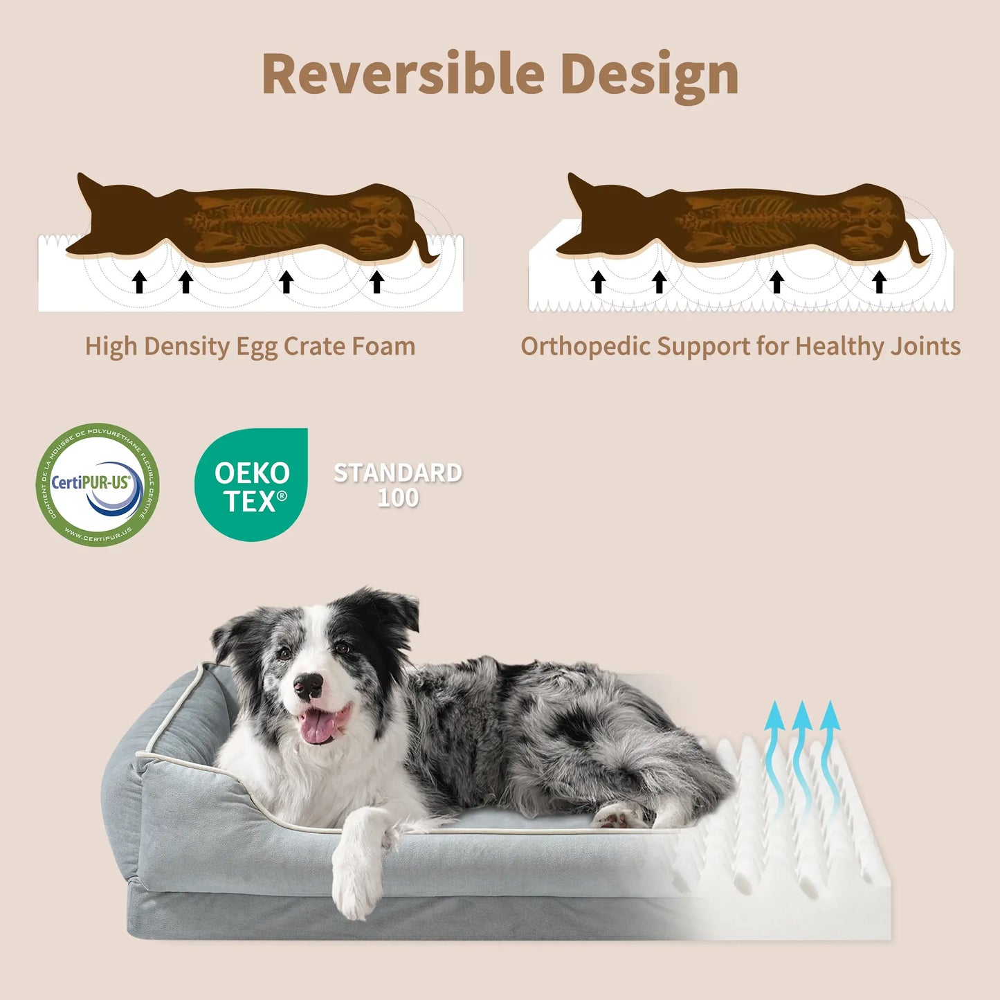 FairyPet Comfort Sofa Dog Bed for Small and Medium Pets | Removable and Machine-Washable Dutch Fleece | Soft, Scratch-Resistant Design with Non-Slip Base