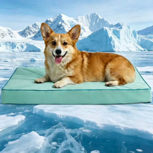 Blunique 2-in-1 Cooling Orthopedic Pet Bed for Dogs and Cats, Waterproof Egg Crate Foam with Q-Max 4.0 Temperature Regulating Fabric, Washable and Dryer Safe Design for All Seasons