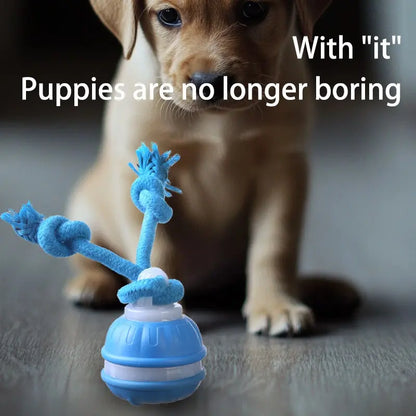 Smart Rolling Ball Toy for Dogs - Indoor Training Device for Enhanced Pet Stimulation with Durable, Bite-Resistant Design for Boredom Relief