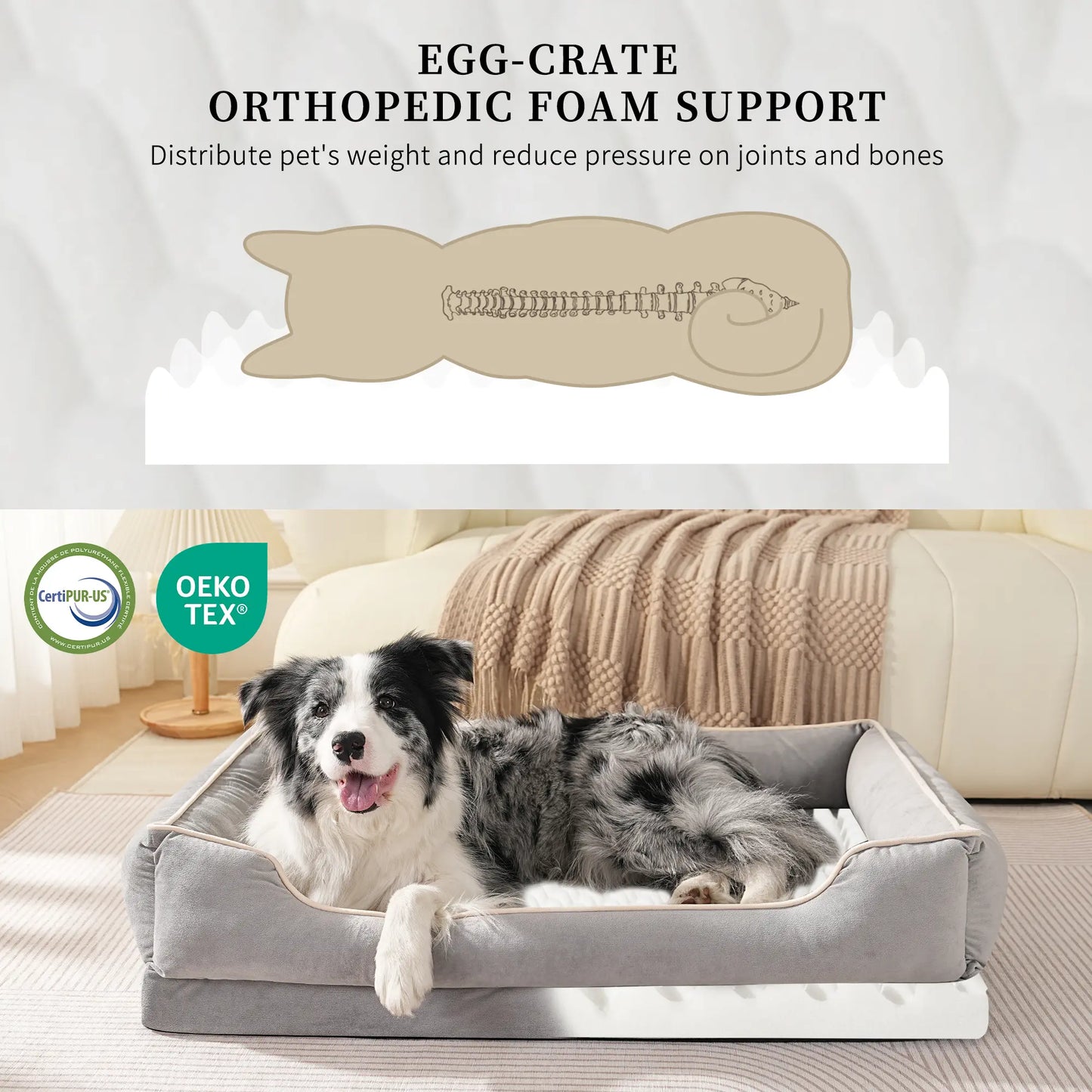 FairyPet Comfort Sofa Dog Bed for Small and Medium Pets | Removable and Machine-Washable Dutch Fleece | Soft, Scratch-Resistant Design with Non-Slip Base
