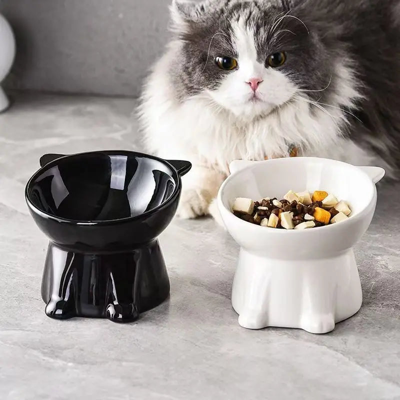 Elevated 2-Piece Pet Feeding Bowl Set with Anti-Vomit Design for Neck and Spine Support, Non-Slip Base, and Durable Plastic for Cats and Small Dogs