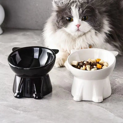 Elevated 2-Piece Pet Feeding Bowl Set with Anti-Vomit Design for Neck and Spine Support, Non-Slip Base, and Durable Plastic for Cats and Small Dogs