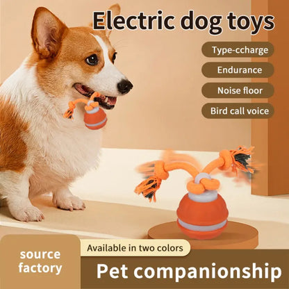 Smart Rolling Ball Toy for Dogs - Indoor Training Device for Enhanced Pet Stimulation with Durable, Bite-Resistant Design for Boredom Relief