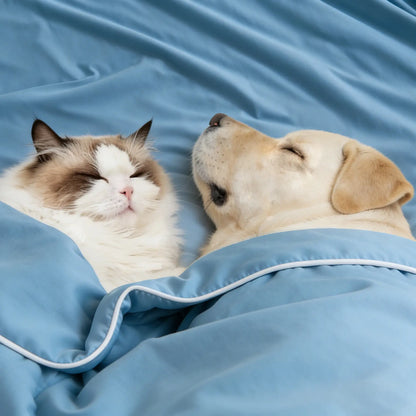 Soulbond Premium Cooling Pet Blanket for Cats and Dogs - Q-MAX 0.45 Breathable, Lightweight, and Machine Washable, Durable Sofa Protector and Multi-Functional Accessory