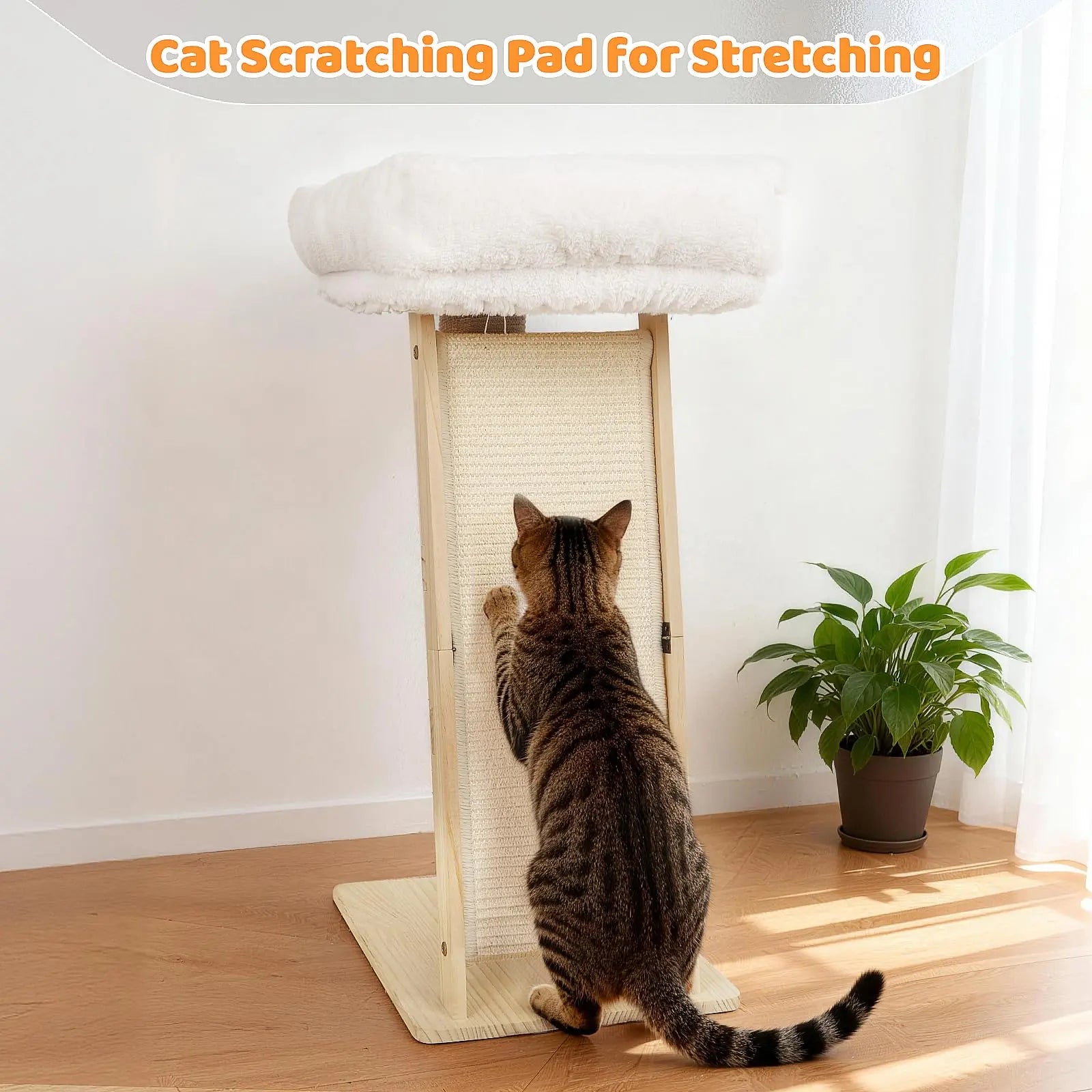 Multi-Functional Cat Scratching Post and Bed: Includes Sisal Column, Angled Pad, Bell Toy, and Removable Washable Nest for Indoor Cats, Easy Assembly for Play, Scratching, and Rest.