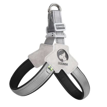 Dog Harness Leash for Small and Medium-Sized Dogs Such as Corgis, Shiba Inus, and French Bulldogs; Collar/Vest Style Dog Walker Leash/Pet Collar