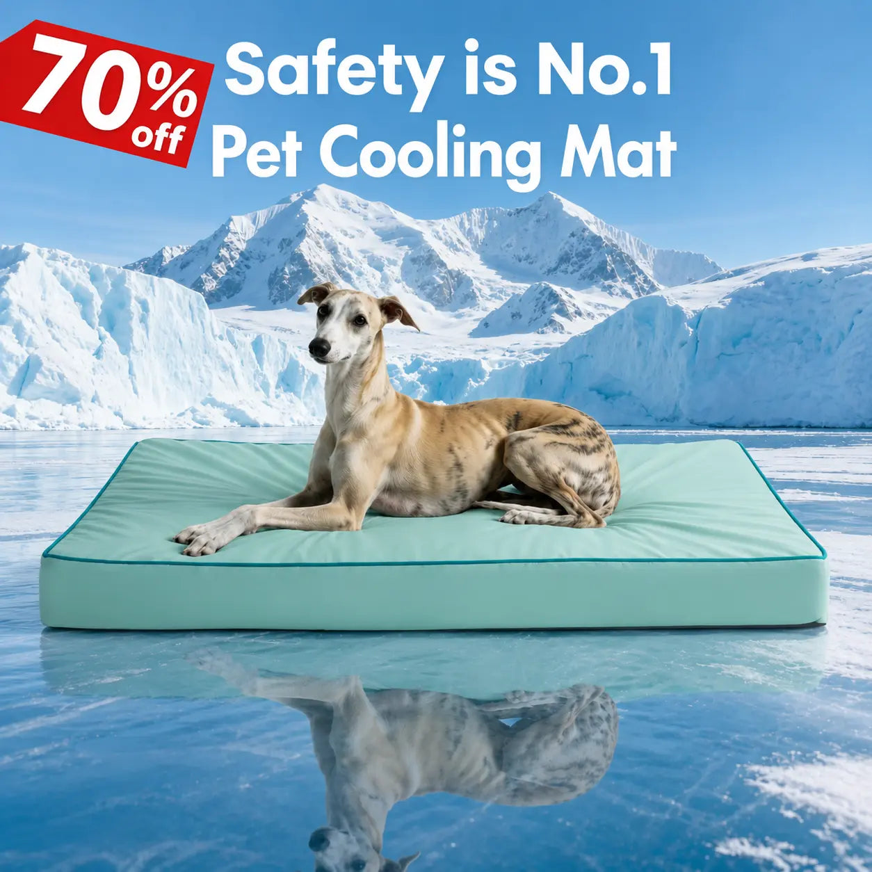 Blunique 2-in-1 Cooling Orthopedic Pet Bed for Dogs and Cats, Waterproof Egg Crate Foam with Q-Max 4.0 Temperature Regulating Fabric, Washable and Dryer Safe Design for All Seasons