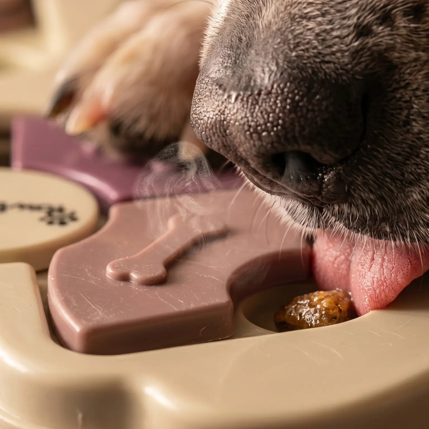 Interactive Dog Puzzle Toy and Slow Feeder Bowl - Level 1 Treat Dispenser for Mental Enrichment and Healthy Digestion