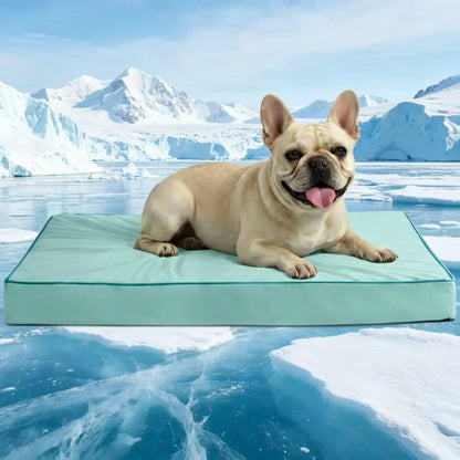 Blunique 2-in-1 Cooling Orthopedic Pet Bed for Dogs and Cats, Waterproof Egg Crate Foam with Q-Max 4.0 Temperature Regulating Fabric, Washable and Dryer Safe Design for All Seasons