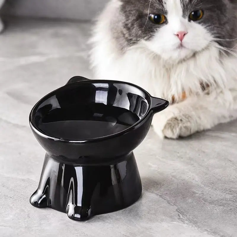 Elevated 2-Piece Pet Feeding Bowl Set with Anti-Vomit Design for Neck and Spine Support, Non-Slip Base, and Durable Plastic for Cats and Small Dogs