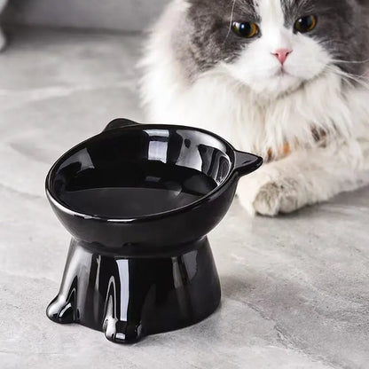 Elevated 2-Piece Pet Feeding Bowl Set with Anti-Vomit Design for Neck and Spine Support, Non-Slip Base, and Durable Plastic for Cats and Small Dogs