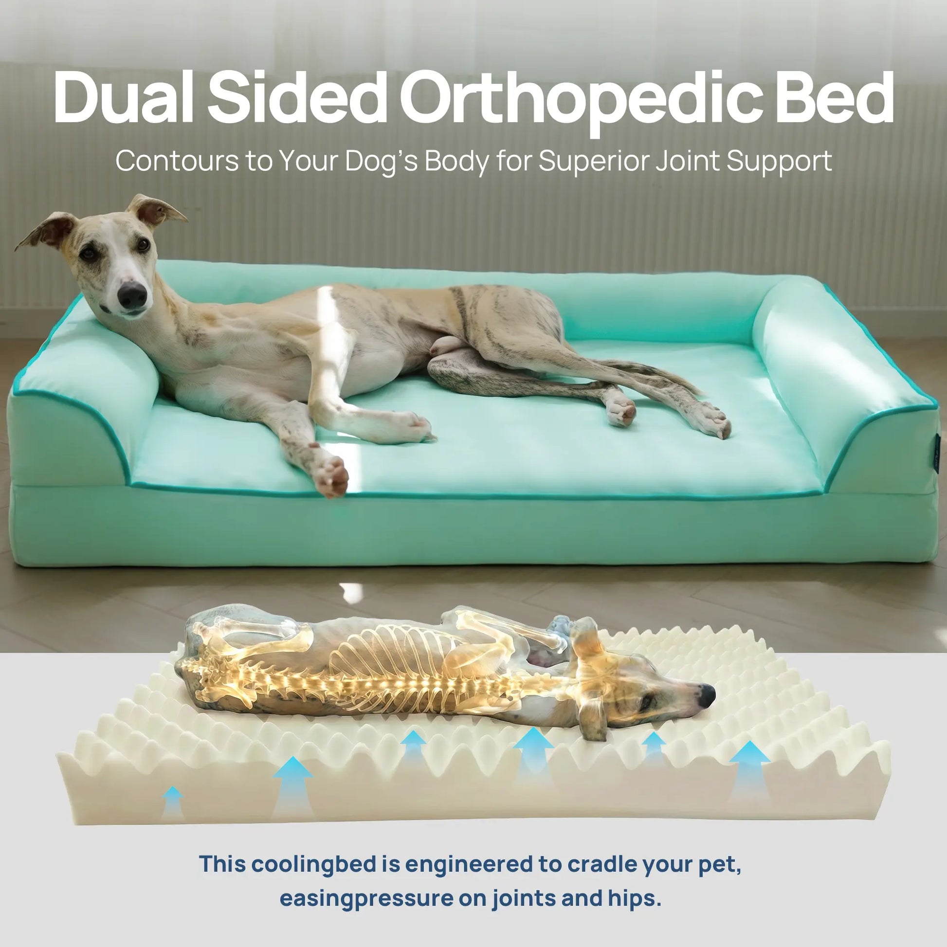 Blunique 2-in-1 Cooling Orthopedic Pet Bed for Dogs and Cats, Waterproof Egg Crate Foam with Q-Max 4.0 Temperature Regulating Fabric, Washable and Dryer Safe Design for All Seasons