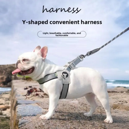 Dog Harness Leash for Small and Medium-Sized Dogs Such as Corgis, Shiba Inus, and French Bulldogs; Collar/Vest Style Dog Walker Leash/Pet Collar